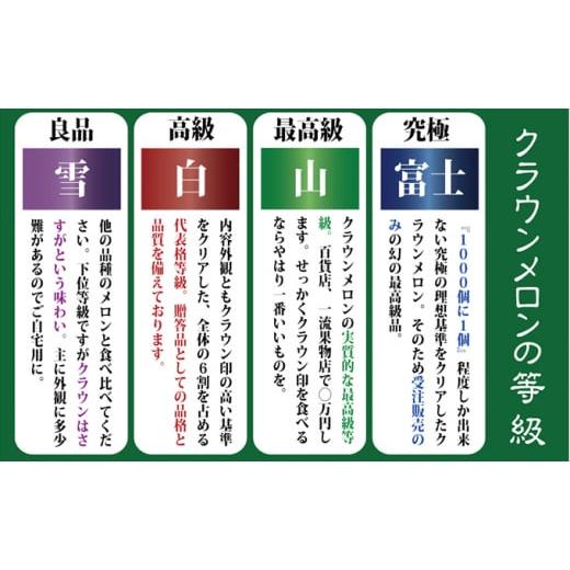ふるさと納税 メロン メロン青肉 静岡県 浜松市 クラウンメロン 定期便 6ヶ月 極み メロン 1玉 マスクメロン めろん 果物 フルーツ 旬の果物 高級フルーツ 6回…_6