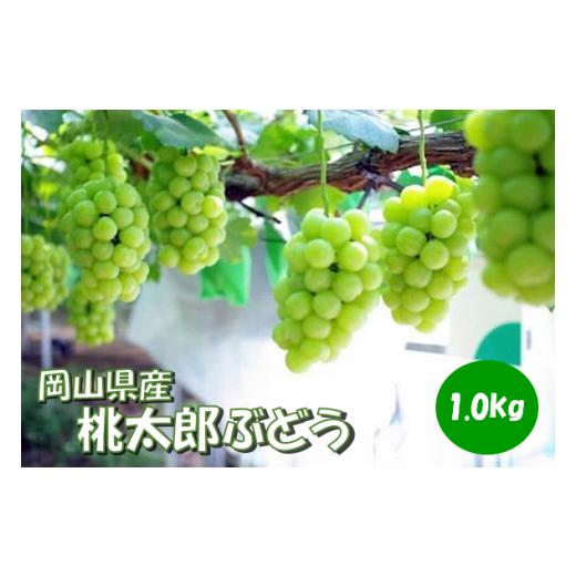 ふるさと納税 ぶどう マスカット 岡山県 勝央町 岡山県 勝央町産 桃太郎ぶどう (瀬戸ジャイアンツ) 1.0kg(2房) 10月発送 _A12