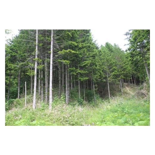 ふるさと納税 認定書・会員証 北海道 浦河町 浦河町オフセット・クレジット(J-VER) CO2(二酸化炭素)削減量 1t