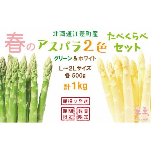 ふるさと納税 野菜類 アスパラガス 北海道 江差町 早期予約・数量限定 4月〜5月初旬出荷予定 2026年 北海道江差町産 「春」のアスパラ2色食べくらべセット …