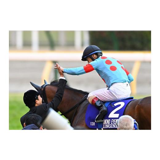 ふるさと納税 服 福島県 福島市 No.2010 競馬ジョッキー勝負服　タイプＡアーモンドアイ 有限会社シルクレーシング 勝負服 福島 競馬 競走馬 グッズ インテリ…の画像