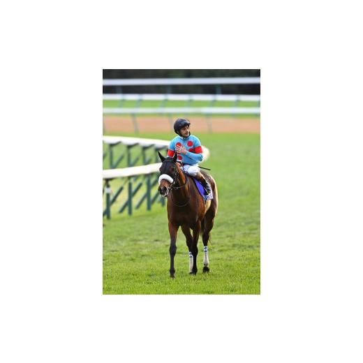 ふるさと納税 服 福島県 福島市 No.2010 競馬ジョッキー勝負服　タイプＡアーモンドアイ 有限会社シルクレーシング 勝負服 福島 競馬 競走馬 グッズ インテリ…の画像