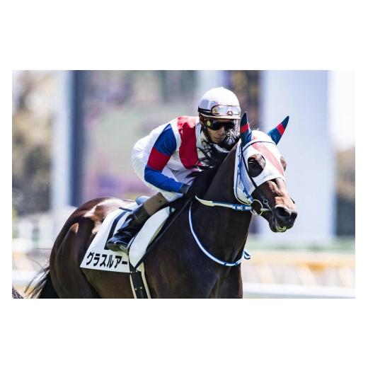 ふるさと納税 服 福島県 福島市 No.2011 競馬ジョッキー勝負服　タイプＢ　グラスワンダー 半沢有限会社 勝負服 福島 競馬 競走馬 グッズ インテリアの画像