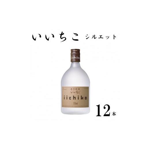 売る なら ふるさと納税 大分県 宇佐市 F-32 いいちこシルエット25度 720ml 12本