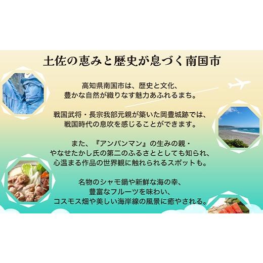 ふるさと納税 アウトドアグッズ 高知県 南国市 土佐鍛 焚火渓流鉈 105(小) 黒ツバ輪 | ナイフ キャンプ アウトドア 打刃物 土佐 鉈 なた 職人 山林 狩猟 刃物 …_6