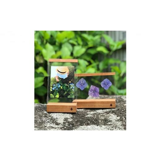 ふるさと納税 雑貨・日用品 長野県 原村 無垢の木の フォトフレーム セット チェリー チェリー