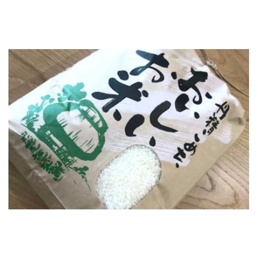ふるさと納税 水・ミネラルウォーター 1L〜2L 鳥取県 江府町 天然水とお米セットＡ 天然水奥大山2L×6本 江府町産こしひかり5キロ 0531の画像