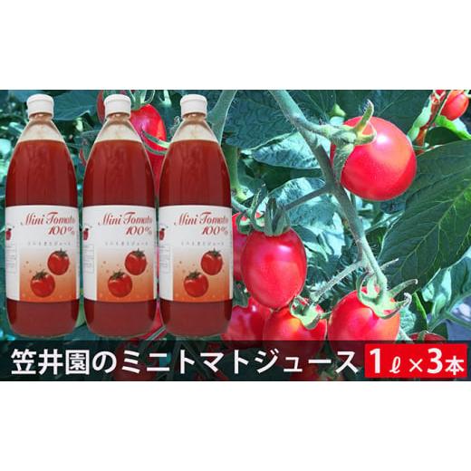ふるさと納税 野菜類 ジュース 北海道 仁木町 ミニトマト「アイコ」で作ったトマトジュース 1L×3本(贈答用) 野菜ジュース 果汁飲料 野菜飲料 野菜 トマト …