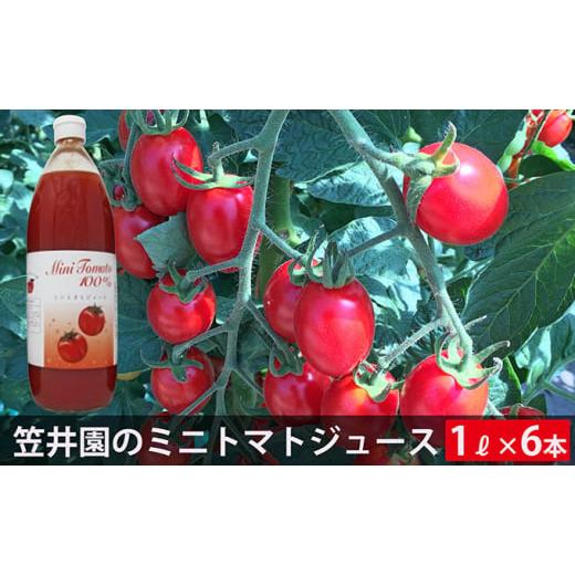 ふるさと納税 野菜類 ジュース 北海道 仁木町 ミニトマト「アイコ」で作ったトマトジュース 1L×6本セット(ご自宅用) 野菜ジュース 果汁飲料 野菜飲料 野菜 …