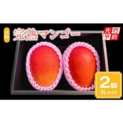 ふるさと納税 マンゴー 宮崎県 宮崎市 [2026年発送先行予約] 期間・数量限定 宮崎市産完熟マンゴー2玉 3Lサイズ(1玉400〜449g)_M126-015_01 3Lサイズ(1玉400…