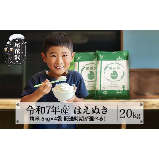 ふるさと納税 米 はえぬき 山形県 尾花沢市 新米 米 20kg 5kg×4 はえぬき 精米 令和7年産 2025年産 山形県尾花沢市産 送料無料3月下旬発送 ja-hasxa20-3s 令…