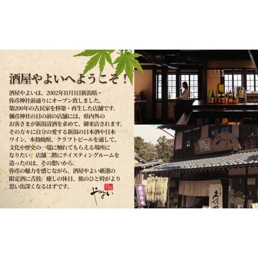 ふるさと納税 食器・グラス タンブラー 新潟県 弥彦村 「ヨシカワ郷技 タンブラー(300ml)1個」×弥彦酒造「彌彦愛国 純米吟醸 720ml」1本セット | 日本酒 純米…の画像