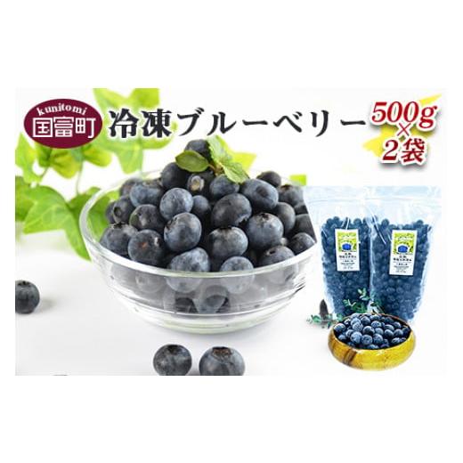 ふるさと納税 果物類 宮崎県 国富町 八重尾工房が贈る 農園直送 冷凍ブルーベリー(500g×2袋) 翌月末迄に順次出荷