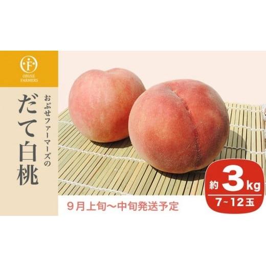 ふるさと納税 もも 長野県 小布施町 だて白桃 約3kg 7〜12玉 ［おぶせファーマーズ］桃 もも モモ 白桃 フルーツ 果物 冷蔵便 クール便 長野県産 信州産 令和8…_1