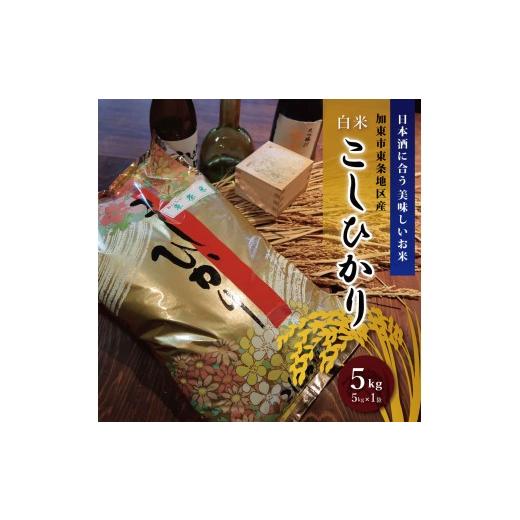 ふるさと納税 米 コシヒカリ 兵庫県 加東市 お米 令和7年産 日本酒に合う コシヒカリ 白米 5kg 米 こめ コメ 精米