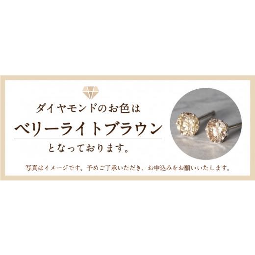 ふるさと納税 アクセサリー ピアス 山梨県 甲府市  即納 〈 甲府ジュエリー 〉プラチナ 0.20 × 0.20ct ダイヤ ピアス 403134（403462）の画像