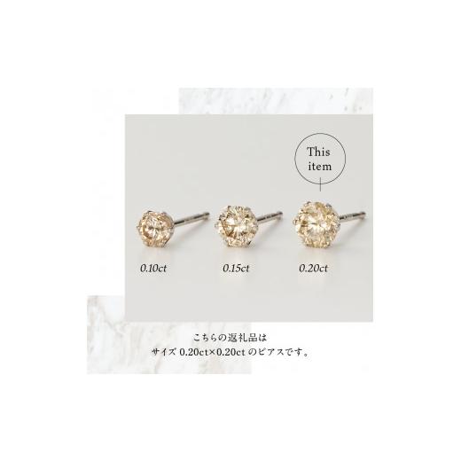 ふるさと納税 アクセサリー ピアス 山梨県 甲府市  即納 〈 甲府ジュエリー 〉プラチナ 0.20 × 0.20ct ダイヤ ピアス 403134（403462）の画像