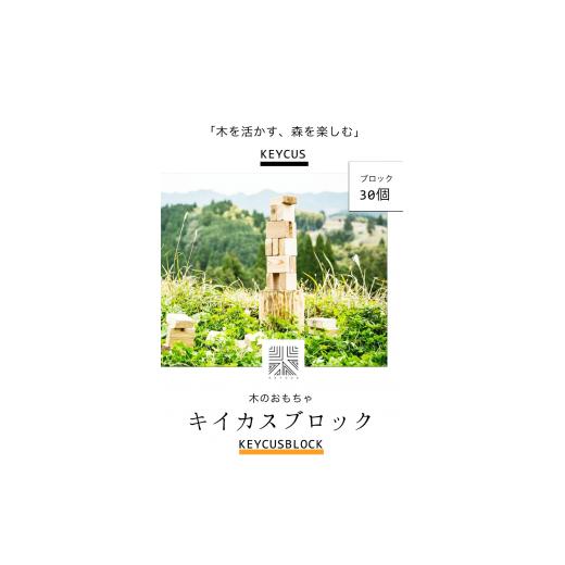 ふるさと納税 木工品・竹工品 熊本県 御船町 熊本県 御船町 キイカスブロック 30個 木のおもちゃ 森のバランスゲーム 《30日以内に出荷予定(土日祝除く)》 KEY…の画像
