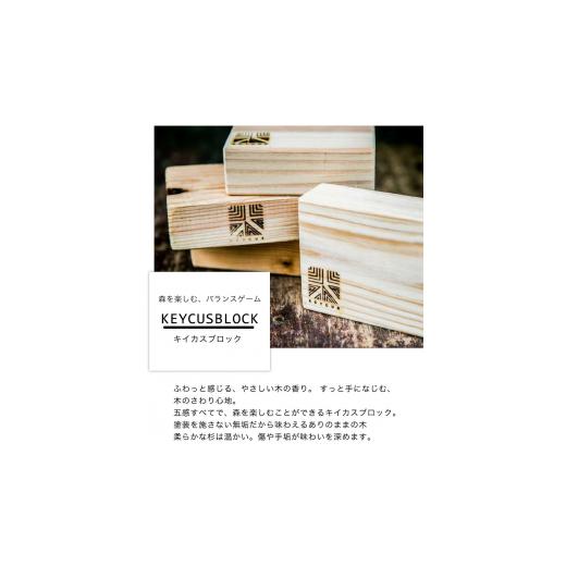 ふるさと納税 木工品・竹工品 熊本県 御船町 熊本県 御船町 キイカスブロック 30個 木のおもちゃ 森のバランスゲーム 《30日以内に出荷予定(土日祝除く)》 KEY…の画像