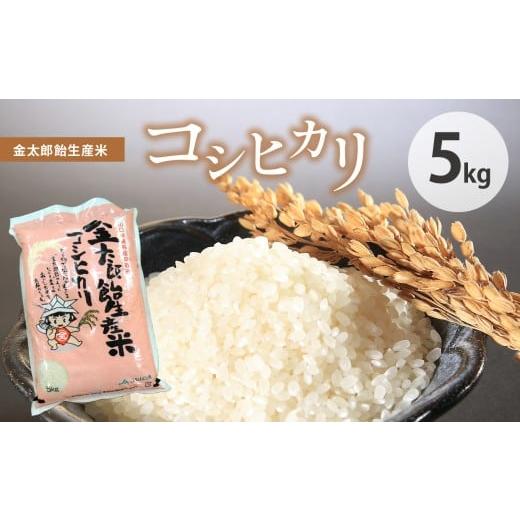 ふるさと納税 米 コシヒカリ 山口県 美祢市 令和7年産 金太郎飴生産米 