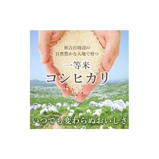 ふるさと納税 米 コシヒカリ 山口県 美祢市 令和7年産 金太郎飴生産米 