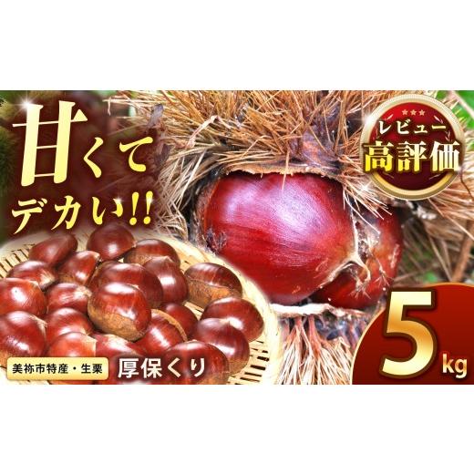 ふるさと納税 果物類 栗 山口県 美祢市 先行予約 甘くて デカい 厚保くり ( 生栗 ) 5kg 山口美祢産 先行予約 2026年10月上旬 〜 11月中旬頃 に発送予定 | 山…