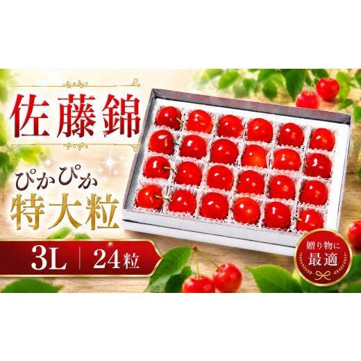 ふるさと納税 果物類 さくらんぼ 新潟県 新発田市 令和7年産先行予約 佐藤錦3L 300g さくらんぼ サクランボ 佐藤錦 竹内果園 果物の宝石 贈答 プレゼント 季…
