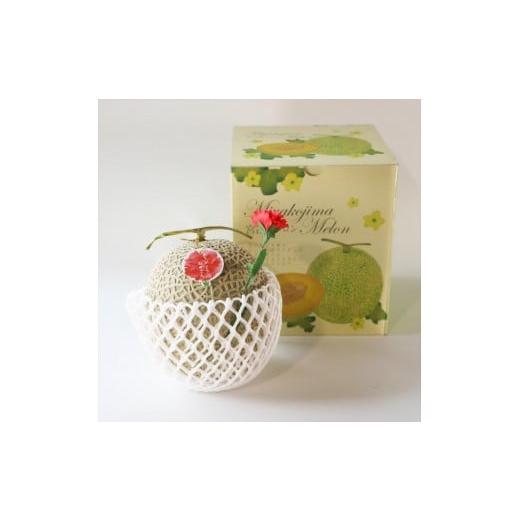 ふるさと納税 メロン メロン赤肉 沖縄県 宮古島市 沖縄フルーツ定期便 母の日ギフトのメロン&夏ギフトマンゴー|全2回|宮古島産 琉球マルシェ