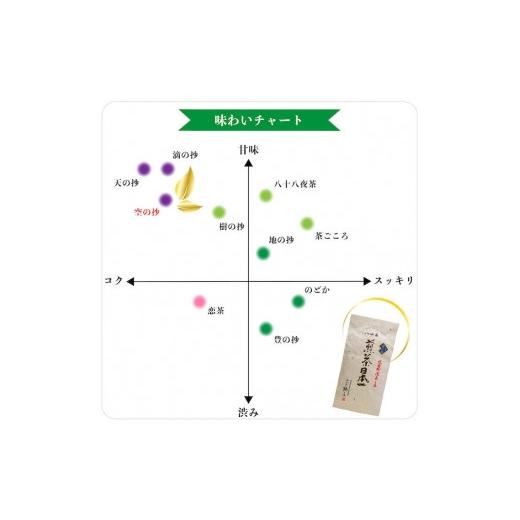 ふるさと納税 お茶類 緑茶（茶葉・ティーバッグ） 福岡県 八女市 自社製造の深蒸しの八女茶 空の抄（くうのしょう）100g入り5袋セット_3