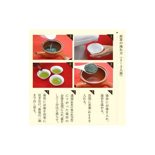 ふるさと納税 お茶類 緑茶（茶葉・ティーバッグ） 福岡県 八女市 自社製造の深蒸しの八女茶 空の抄（くうのしょう）100g入り5袋セット_6