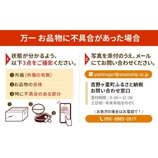 ふるさと納税 麺類 佐賀県 吉野ヶ里町 あの人気店の味をおうちで 3回定期便 ちゃんぽん・皿うどん8食セット（各4食） リンガーフーズ FBI011_8