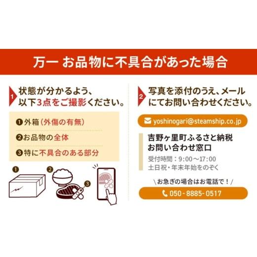 ふるさと納税 麺類 佐賀県 吉野ヶ里町 あの人気店の味をおうちで 12回定期便 皿うどん8食セット リンガーフーズ FBI010_7
