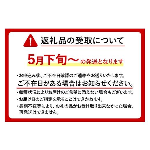 ふるさと納税 野菜類 山菜 秋田県 東成瀬村 秋田県東成瀬村産 アク抜きわらび 750g×1袋の画像