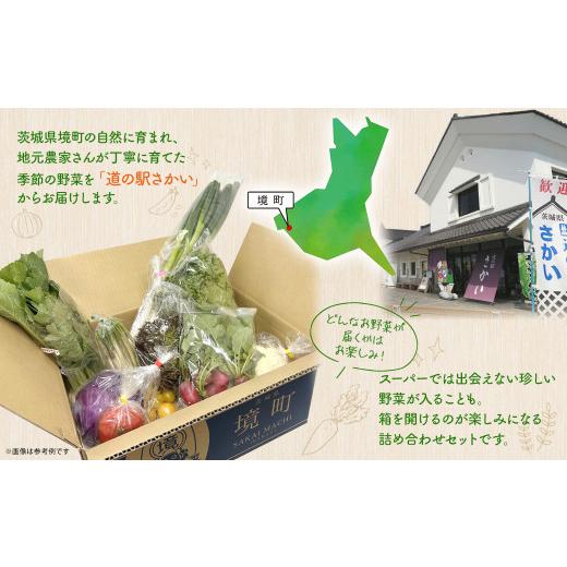 ふるさと納税 セット・詰合せ 茨城県 境町 K1665 季節の野菜 「道の駅さかいオリジナル」駅?おすすめ野菜セットの画像