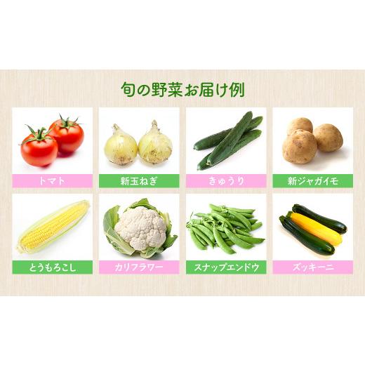 ふるさと納税 セット・詰合せ 茨城県 境町 K1665 季節の野菜 「道の駅さかいオリジナル」駅?おすすめ野菜セットの画像
