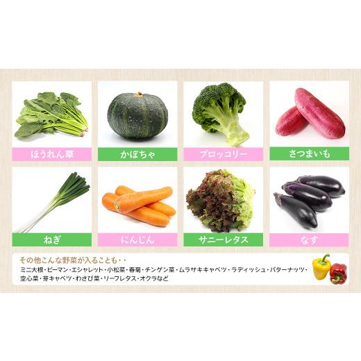 ふるさと納税 セット・詰合せ 茨城県 境町 K1665 季節の野菜 「道の駅さかいオリジナル」駅?おすすめ野菜セットの画像