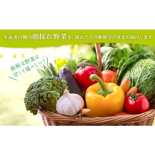 ふるさと納税 セット・詰合せ 茨城県 境町 K1665 季節の野菜 「道の駅さかいオリジナル」駅?おすすめ野菜セットの画像