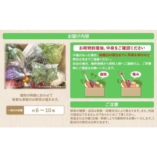 ふるさと納税 セット・詰合せ 茨城県 境町 K1665 季節の野菜 「道の駅さかいオリジナル」駅?おすすめ野菜セットの画像