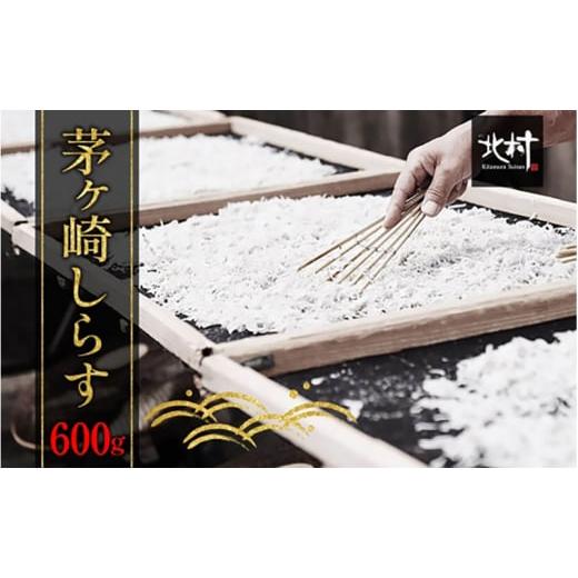 ふるさと納税 魚貝類 しらす 神奈川県 茅ヶ崎市 茅ヶ崎 しらす 生 新鮮 600g 網元 船 茹で上げ ゆでる 天日干し 白 透明 湘南 相模湾 朝獲れ 食卓 しらす丼 ポ…