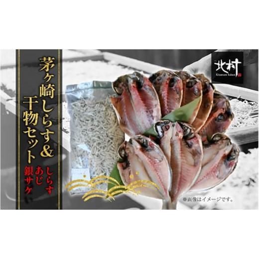 ふるさと納税 魚貝類 しらす 神奈川県 茅ヶ崎市 茅ヶ崎 しらす 干物 セット しらす 300g あじ 5枚 銀サケ 4枚 とれたて 網元 船 茹で上げ ゆでる 天日干し 白 …