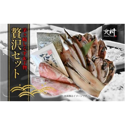 ふるさと納税 魚貝類 しらす 神奈川県 茅ヶ崎市 茅ヶ崎 しらす 干物 贅沢 セット しらす 600g たたみしらす 8枚入 1箱 かます 2枚 あじ 3枚 銀サケ 4枚 太刀魚…