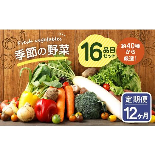 ふるさと納税 セット・詰合せ 熊本県 益城町 定期便12回 季節の野菜 16