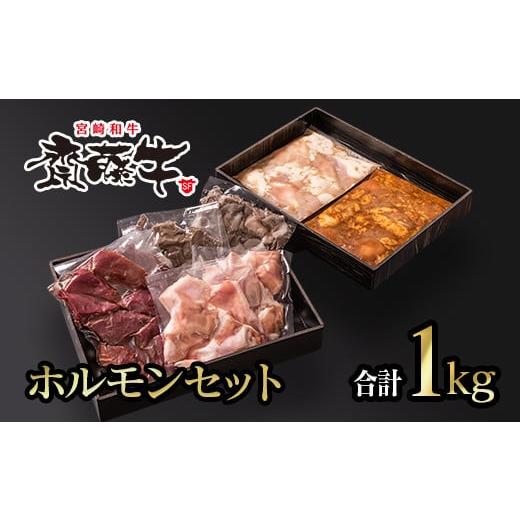 ふるさと納税 宮崎県 西都市 宮崎和牛 齋藤牛 ホルモンセット 焼肉 バーベキュー[1-201]焼肉 牛肉