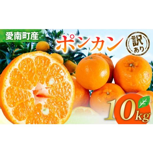 ふるさと納税 みかん・柑橘類 愛媛県 愛南町 2026年 先行予約 訳あり ポンカン 10kg サイズミックス 送料無料 17000円 柑橘 みかん 蜜柑 家庭用 フルーツ 果…