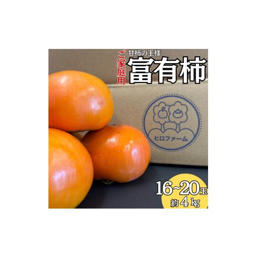ふるさと納税 果物類 柿 鳥取県 湯梨浜町 23M.富有柿16〜20玉〔ご家庭用〕