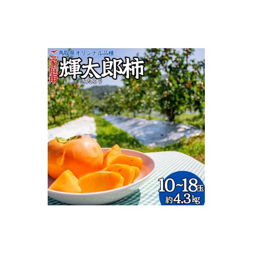 ふるさと納税 果物類 柿 鳥取県 湯梨浜町 25K.輝太郎柿10〜18玉〔ご家庭用〕