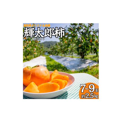 ふるさと納税 果物類 柿 鳥取県 湯梨浜町 21M.輝太郎柿7〜9玉