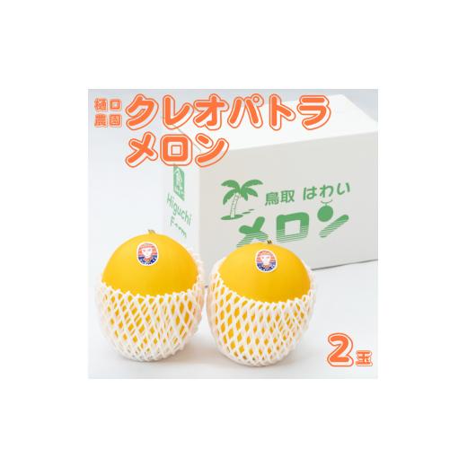 ふるさと納税 メロン メロン青肉 鳥取県 湯梨浜町 220M.樋口農園のクレオパトラメロン 2玉