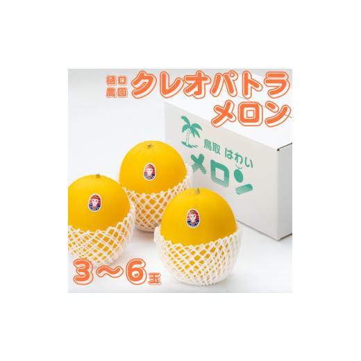 ふるさと納税 メロン メロン青肉 鳥取県 湯梨浜町 219M.樋口農園のクレオパトラメロン 3〜6玉