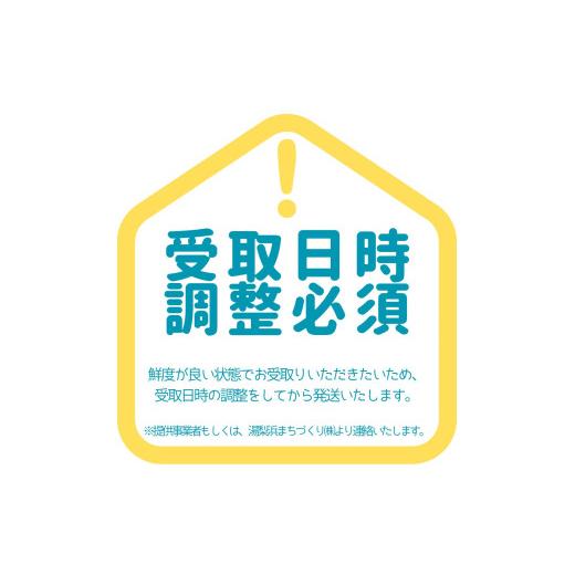 ふるさと納税 いか 鳥取県 湯梨浜町 62M.鳥取県産真っ白いか 800g〜1kg
